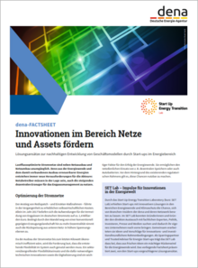 Cover dena-Factsheet Innovationen im Bereich Netze nd Assets fördern